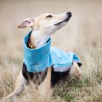 Jacke Softshell Aqua (mit Reißverschlüssen) – Bild 2