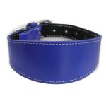 Windhundhalsband Blau – Bild 2