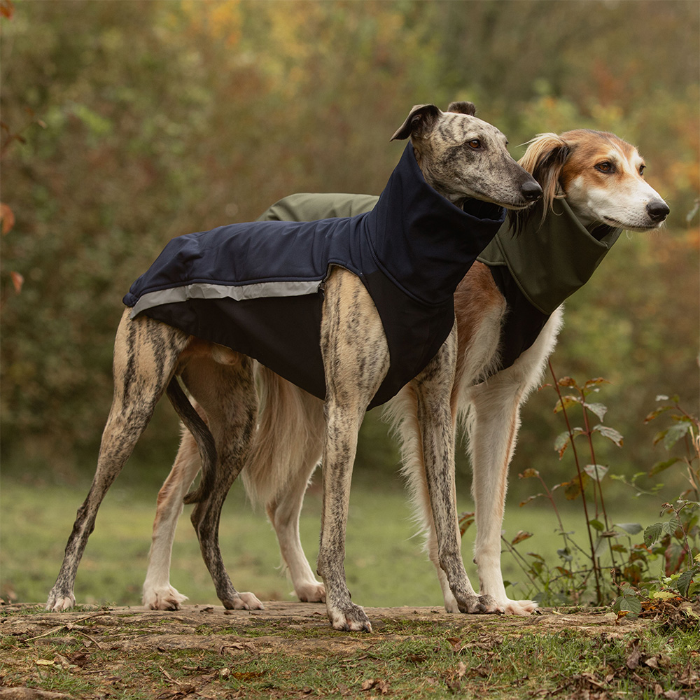 combideal Kombi-Angebot: Softshelljacke + Softshell&Fleecejacke (Farbe und Größe nach Wahl) 10 % Rabatt – Bild 1