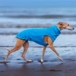 Pullover Fleece Aqua – Bild 2