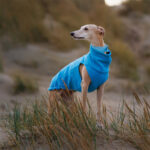 Pullover Fleece Aqua – Bild 3