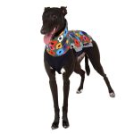 Jacke Softshell Blumen (mit Reißverschlüssen) – Bild 3