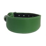 Windhundhalsband grün – Bild 2
