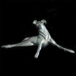 Windhund-Brosche - Entspannter Windhund