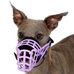 Nasenpolster für Maulkorb – Bild 6