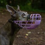 Windhunde Maulkorb große 3 - geschlossen – Bild 2