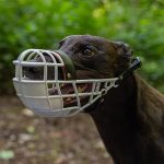 Windhunde Maulkorb große 3 - geschlossen – Bild 3