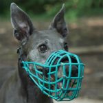 Nasenpolster für Maulkorb – Bild 3