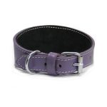 Windhundhalsband lila