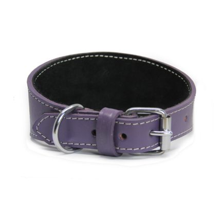 Windhundhalsband lila