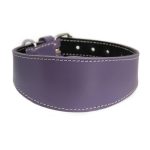 Windhundhalsband lila – Bild 2
