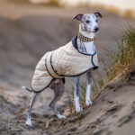 Windhund Wintermantel Gesteppt Beige – Bild 2