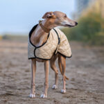 Windhund Wintermantel Gesteppt Beige – Bild 3