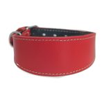 Windhundhalsband Rot – Bild 2