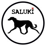 Autoaufkleber Saluki