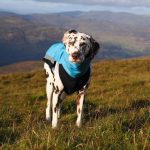 Jacke Softshell Aqua (mit Reißverschlüssen) – Bild 4