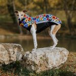 Jacke Softshell Blumen (mit Reißverschlüssen) – Bild 4