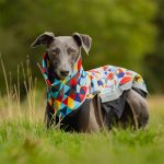 Jacke Softshell und Fleece Geometrisch (mit Reißverschlüssen) – Bild 2