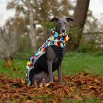 Jacke Softshell und Fleece Geometrisch (mit Reißverschlüssen) – Bild 3