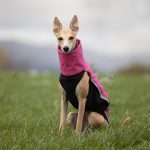 Jacke Softshell und Fleece Rosa (mit Reißverschlüssen) – Bild 2