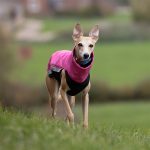 Jacke Softshell und Fleece Rosa (mit Reißverschlüssen) – Bild 4