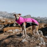 Jacke Softshell und Fleece Rosa (mit Reißverschlüssen) – Bild 3