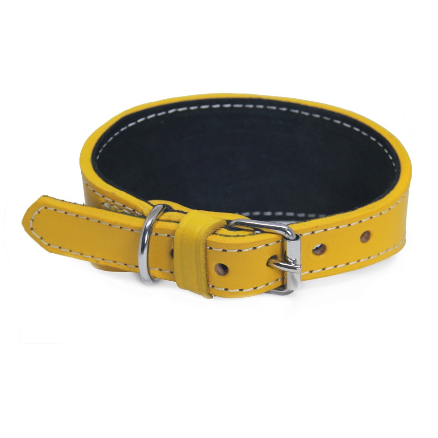yellow1 Windhundhalsband gelb – Bild 1
