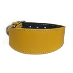 Windhundhalsband gelb – Bild 2
